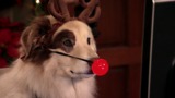 Avery hopes she will finally get a gift she likes when Bennett asks the kids to make a wish list.